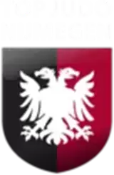 STJN logo